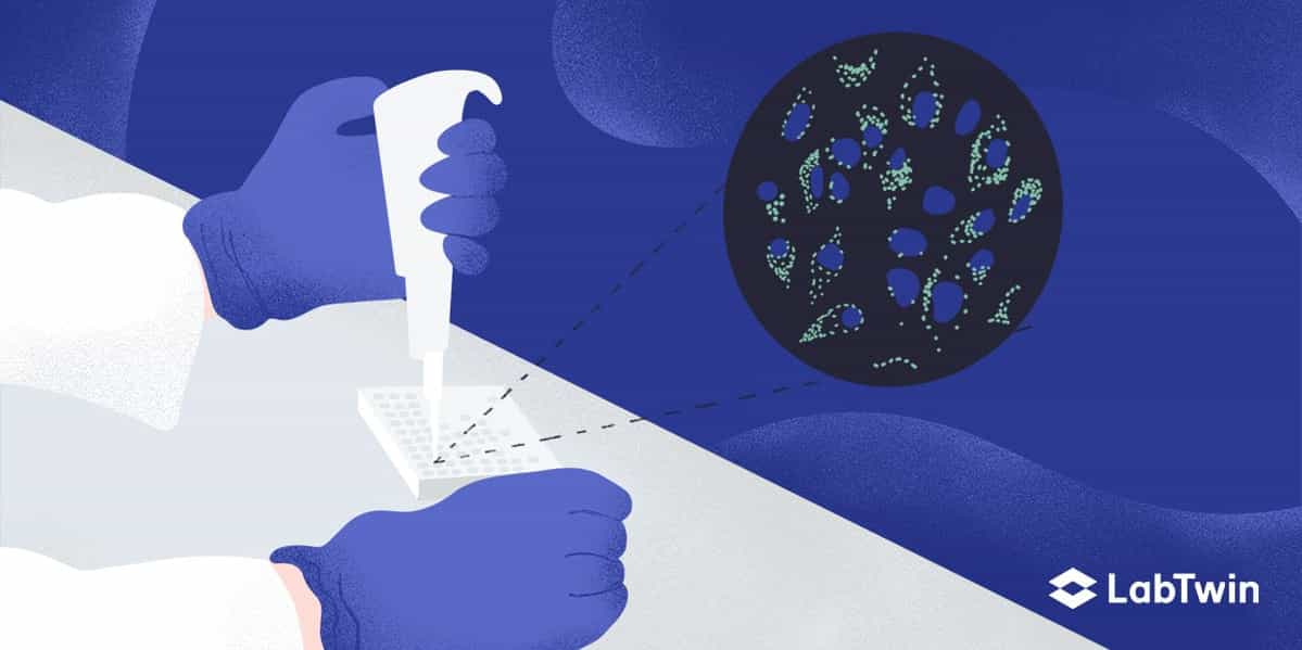 Cell-based Assay for High-content Screening in Pharma