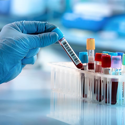Use-Case-Animal Testing