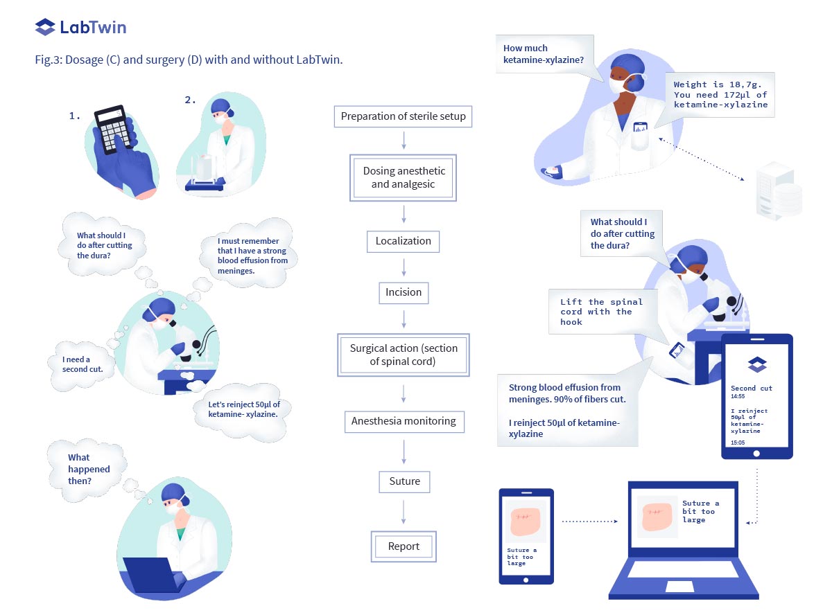  in vivo preclinical studies dosage and surgery