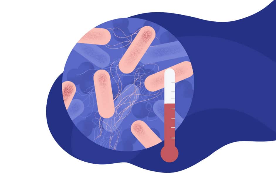 Use Case - Prokaryotic Culture-min