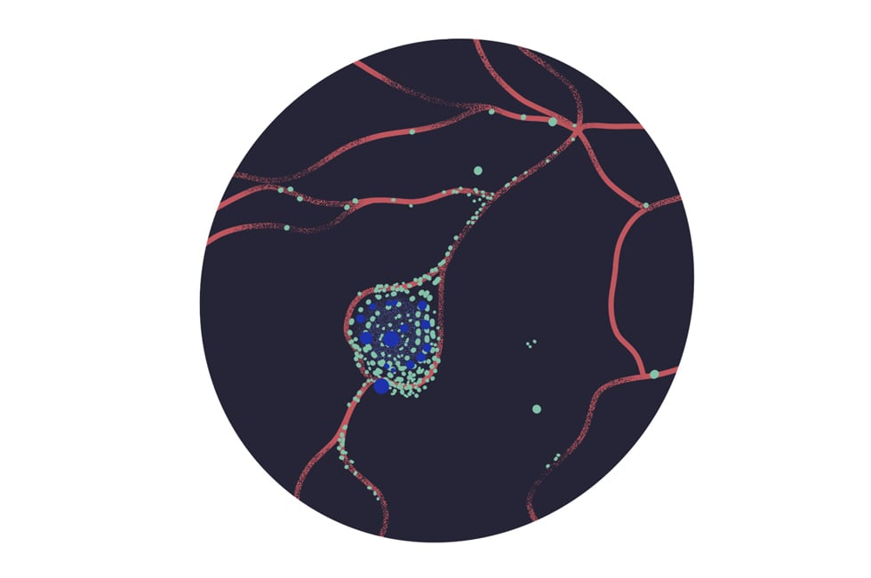 Use Case-Fluorescent Microscopy-min